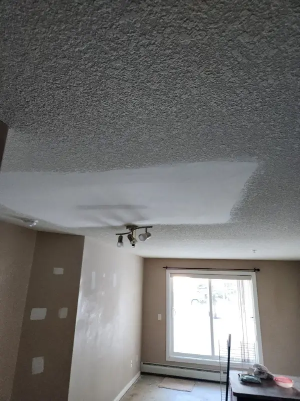 Stony Plain drywall services